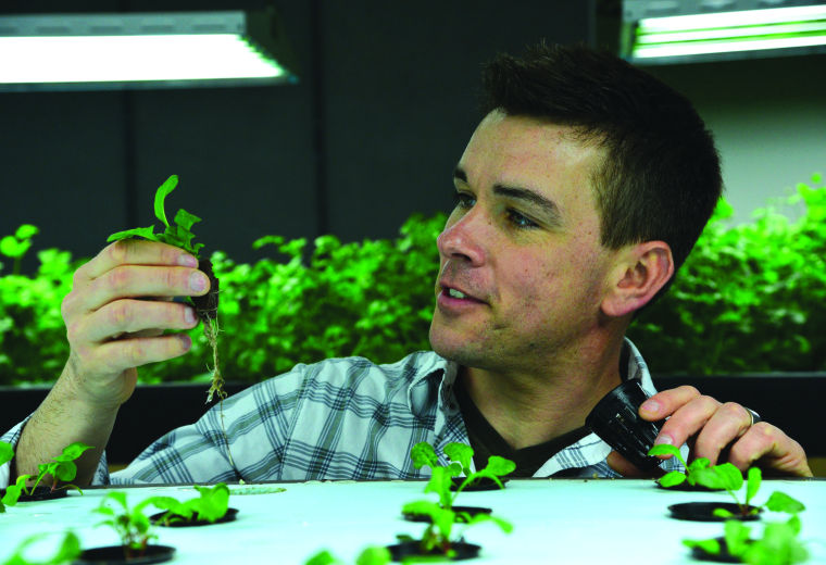 Urban Organics aquaponic farm